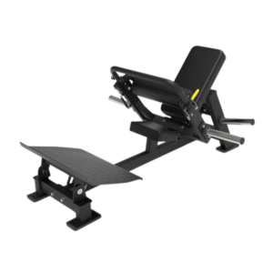 LV10 Hip Thrust (pelvis)